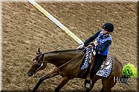 4H-State-2017-0552.jpg