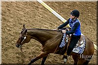 4H-State-2017-0553.jpg