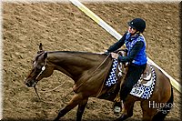 4H-State-2017-0555.jpg