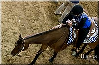 4H-State-2017-0559.jpg