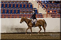 4H-State-2017-2382.jpg