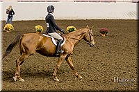 4H-State-2017-2391.jpg