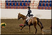 4H-State-2017-2393.jpg