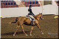 4H-State-2017-2397.jpg