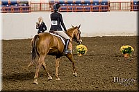 4H-State-2017-2398.jpg