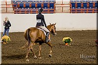 4H-State-2017-2399.jpg