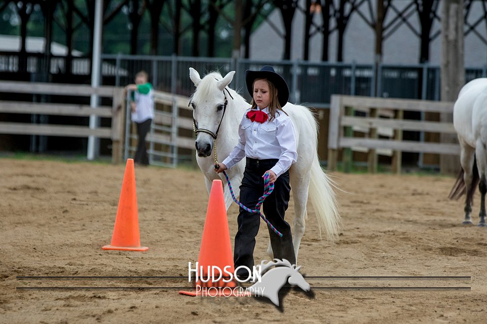 4H-FUN-060918-0152.jpg