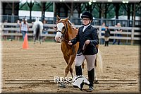 4H-FUN-060918-0138.jpg