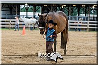 4H-FUN-060918-0146.jpg