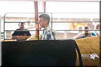 LCF2013-0910.jpg