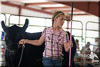 LCF2013-0913.jpg