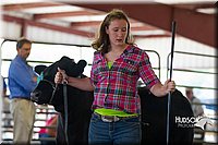 LCF2013-0914.jpg