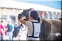 LCF2013-0048.jpg