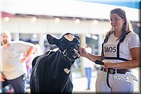 LCF2013-0053.jpg