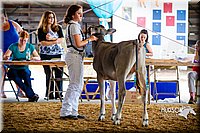 LCF2013-0169.jpg
