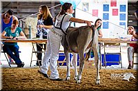 LCF2013-0170.jpg