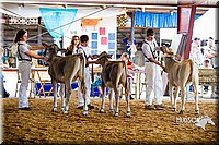 LCF2013-0172.jpg