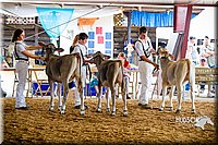 LCF2013-0173.jpg