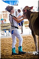 LCF2013-0177.jpg