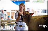 LCF2013-0178.jpg