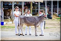 LCF2013-0193.jpg
