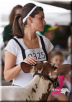 LCF2013-0220.jpg