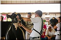 LCF2013-0277.jpg