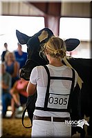LCF2013-0318.jpg