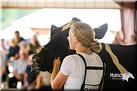 LCF2013-0321.jpg