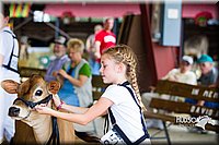LCF2013-0339.jpg