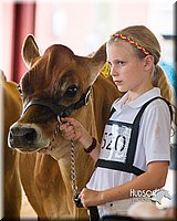LCF2013-0356.jpg