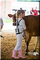 LCF2013-0359.jpg
