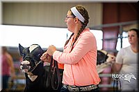 LCF2013-0392.jpg