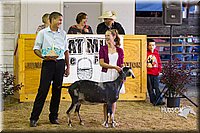 LCF2013-1294.jpg