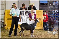 LCF2013-1295.jpg