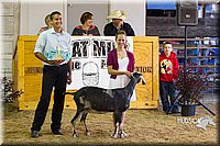 LCF2013-1296.jpg