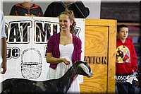 LCF2013-1301.jpg