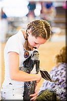 LCF2013-0656.jpg