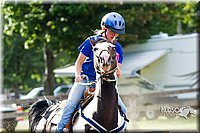 LCF13-2463.jpg