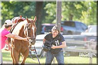 LCF13-2552.jpg
