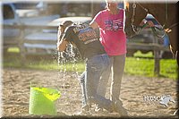 LCF13-2627.jpg