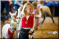 LCF13-4184.jpg