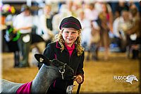 LCF13-4263.jpg