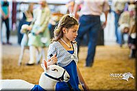 LCF13-4266.jpg