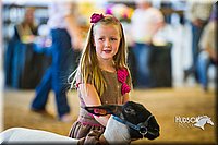 LCF13-4272.jpg