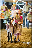 LCF13-4276.jpg