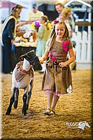 LCF13-4277.jpg