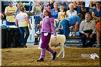 LCF13-4280.jpg