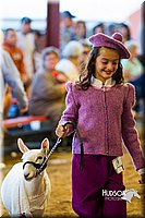 LCF13-4283.jpg
