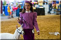 LCF13-4284.jpg